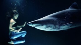 woman floating in water holding up hand to stop a shark nosing forward