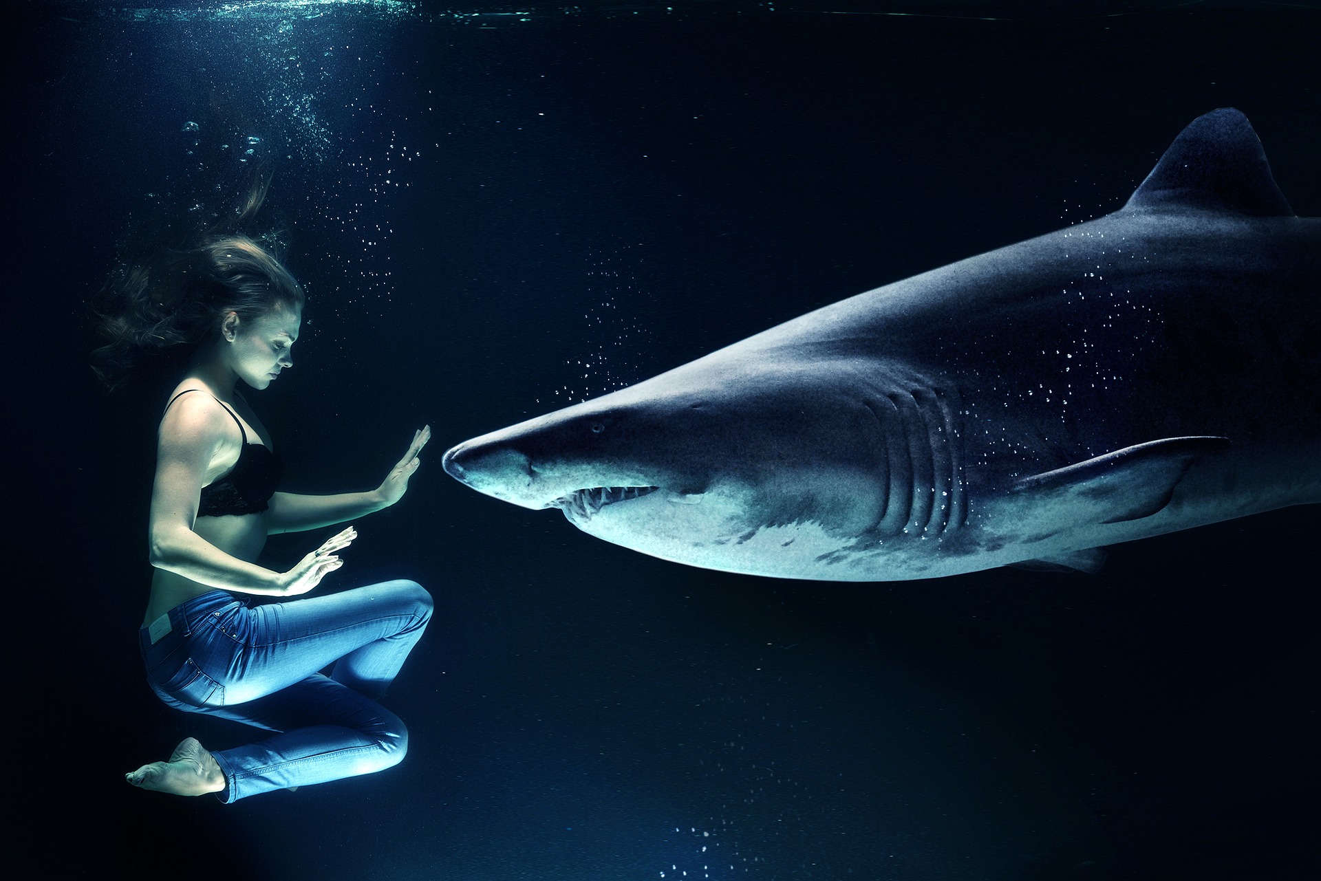 woman floating in water holding up hand to stop a shark nosing forward