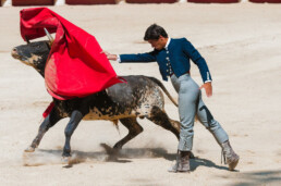 Matador waving a red cape over a charging bull's head