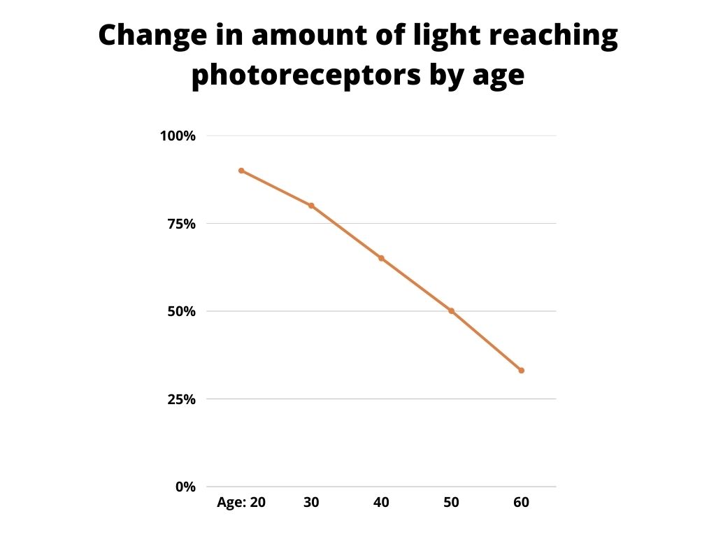 line graph of decreasing light to photoreceptors over forty years from ages 20 to 60