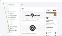 view of Shopify's brand settings