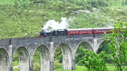 steam engine pulling box cars down a wooded track on a bridge with stone pillars
